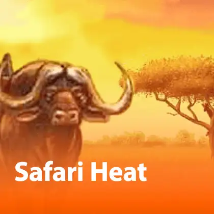 safari heat slotxo