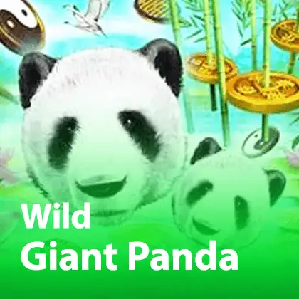 wild giant panda slotxo